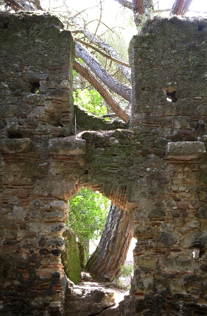 [DSC_0022.jpg]