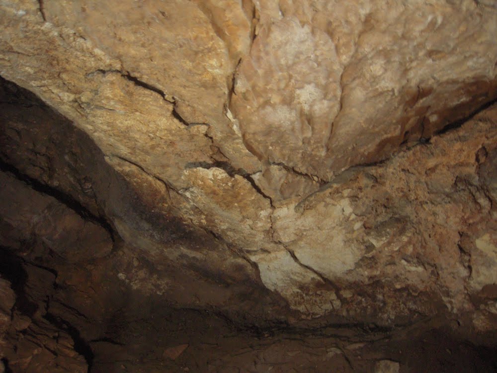 [DSCN2349.jpg]