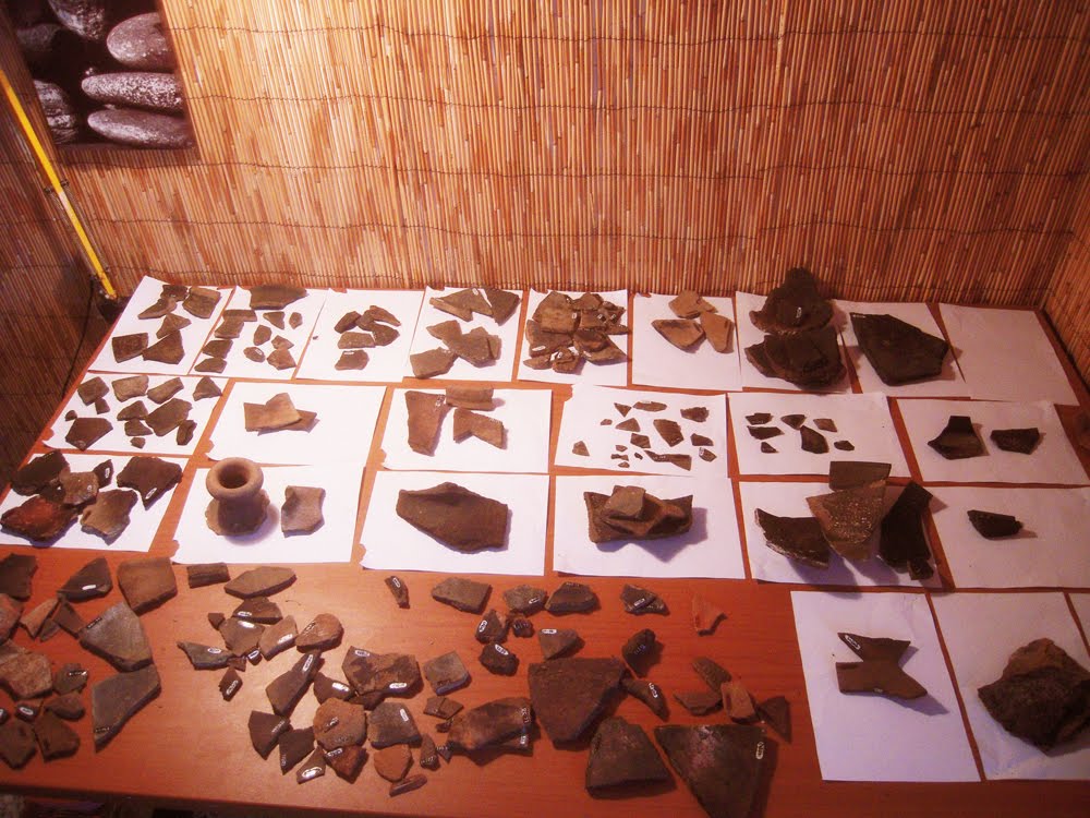 [DSCN2415.jpg]