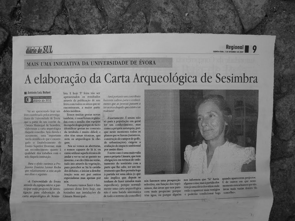 [Diário+do+Sul.JPG]