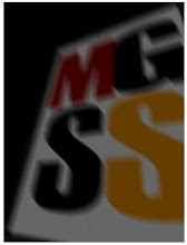 MGSS 2010