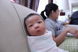One Month Old