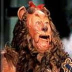 Howard Dean, DNC Chairman