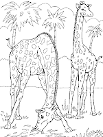 planse colorat girafe