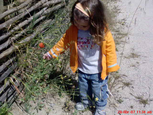 [DSC00106.JPG]