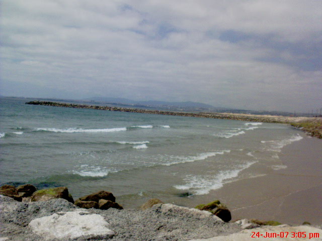 [DSC00166.JPG]