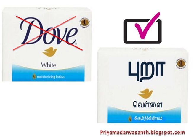 [dove.JPG]