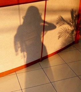 [shadow_1.jpg]