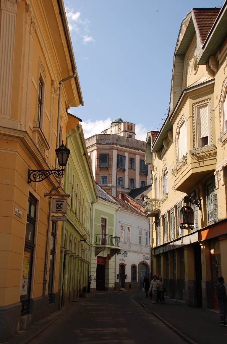 [DSC_0140.JPG]