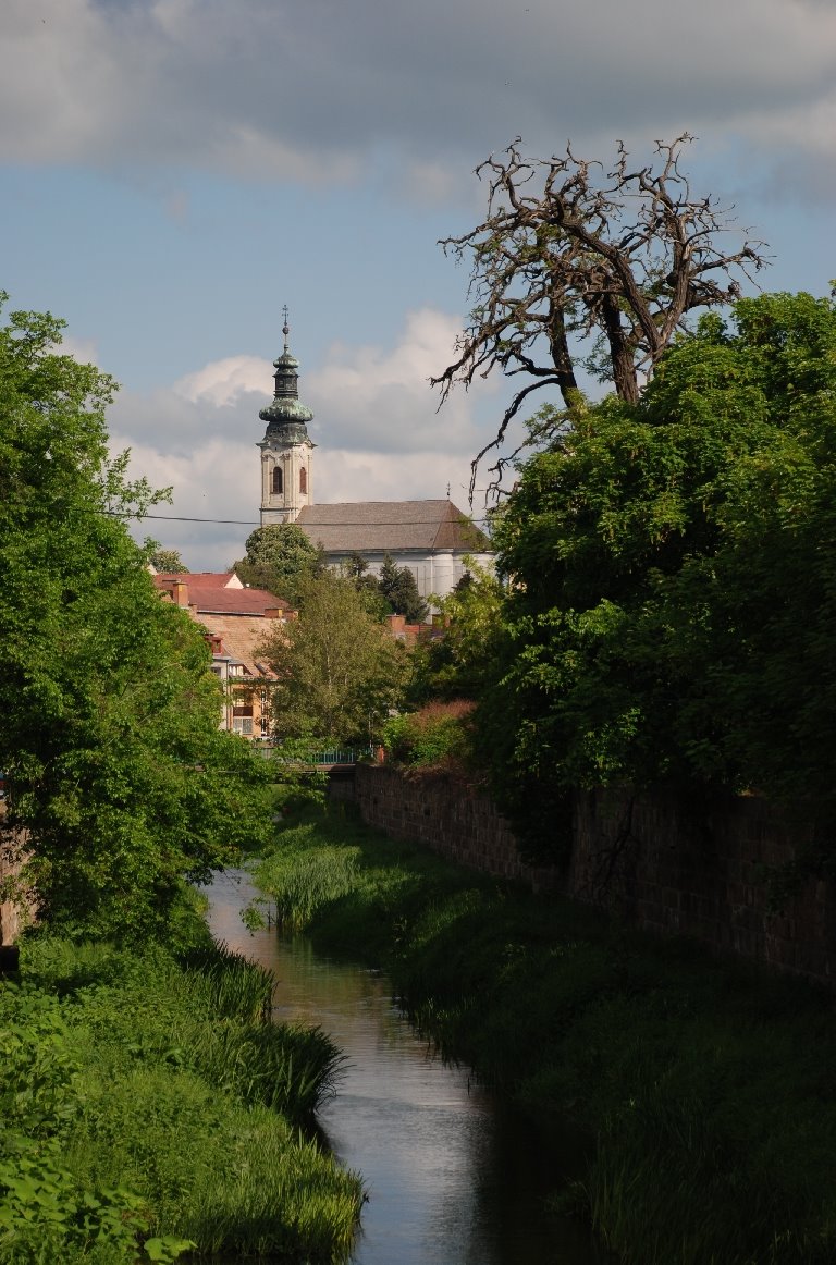 [DSC_0121.JPG]
