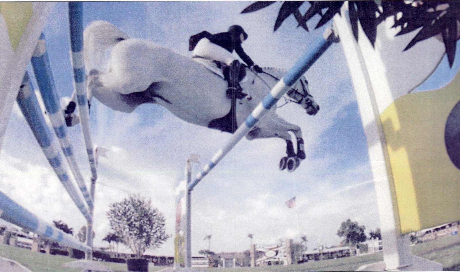 [horse2]
