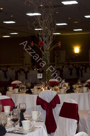 [goldstein272[1].jpg]