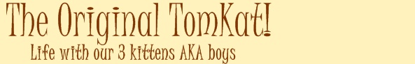 The Original TomKat