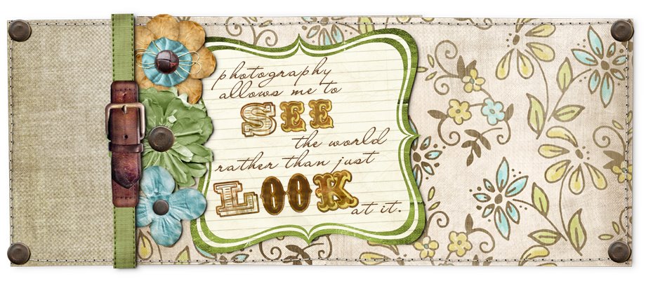 Cre8tive Photography by The Cre8tive Warrior!