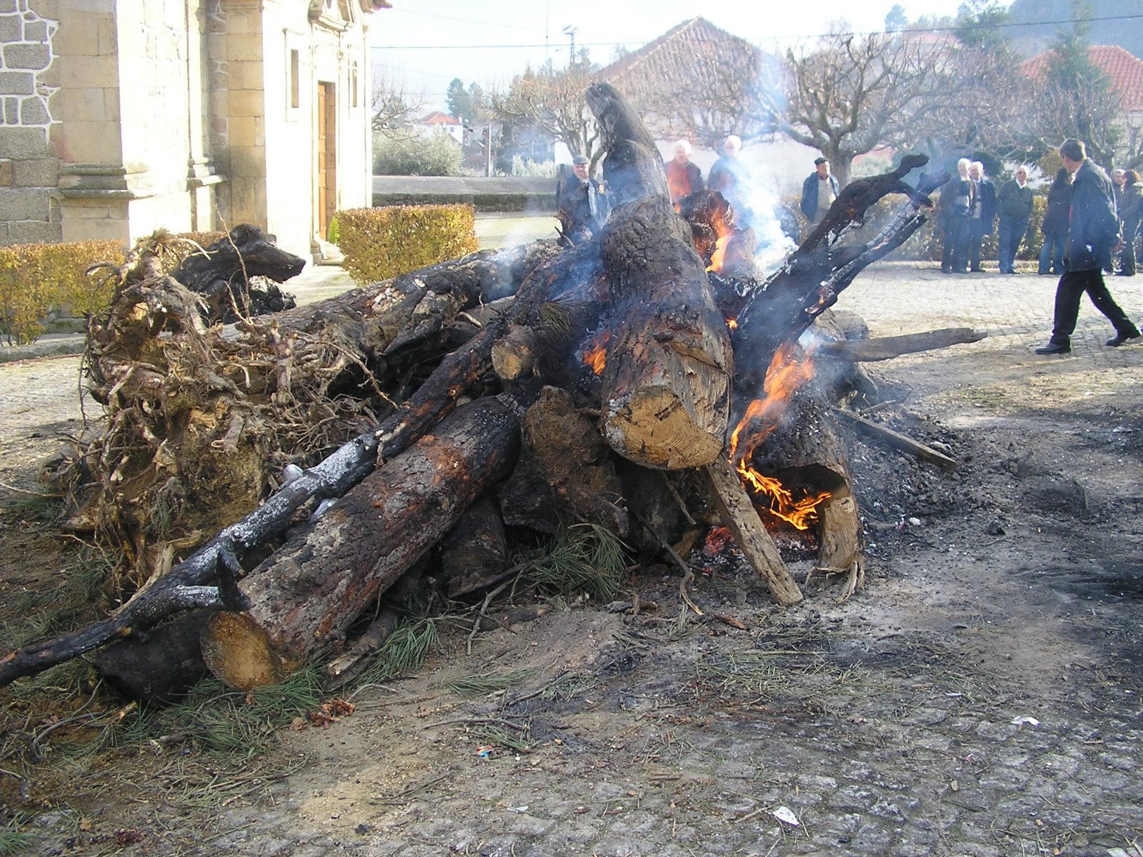 [PC260458.JPG]
