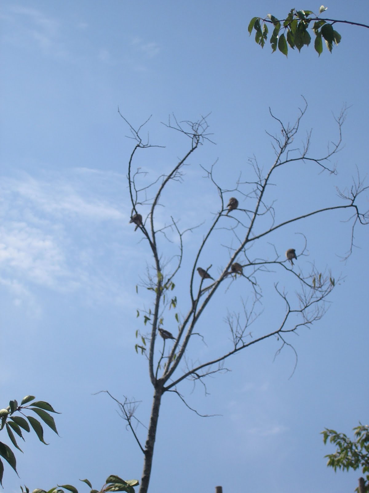 [P9120008.JPG]