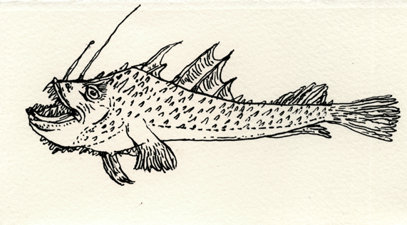 [monkfish.gif]