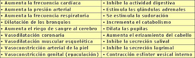 Efectos de la estimulación simpática