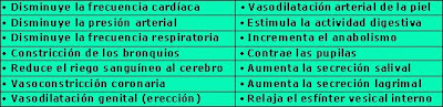 Efectos de la estimulación parasimpática