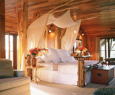 Inside a wooden wonderland?