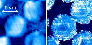 Atomic Force Microscope