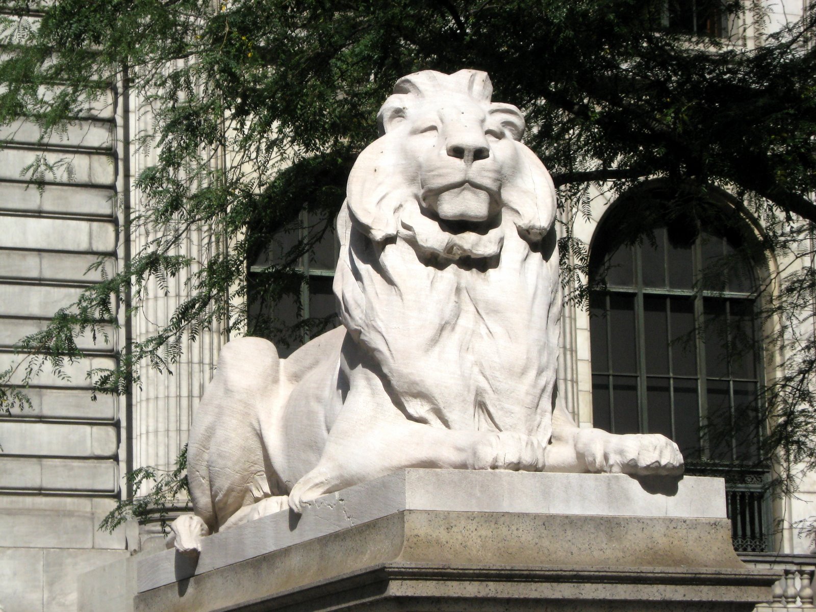 [library_lions_fortitude.jpg]