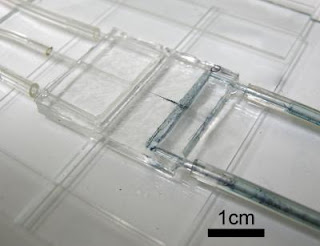 Microinjection Device