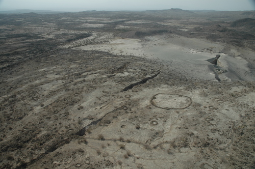 [fig5_thumb.jpg]
