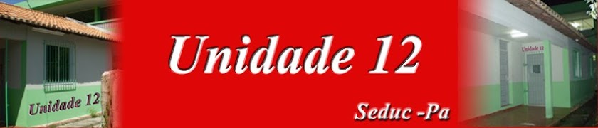 UNIDADE 12