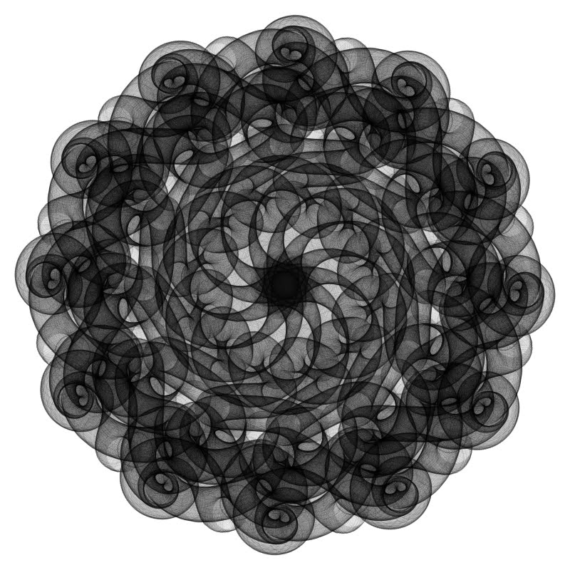 [ornata]
