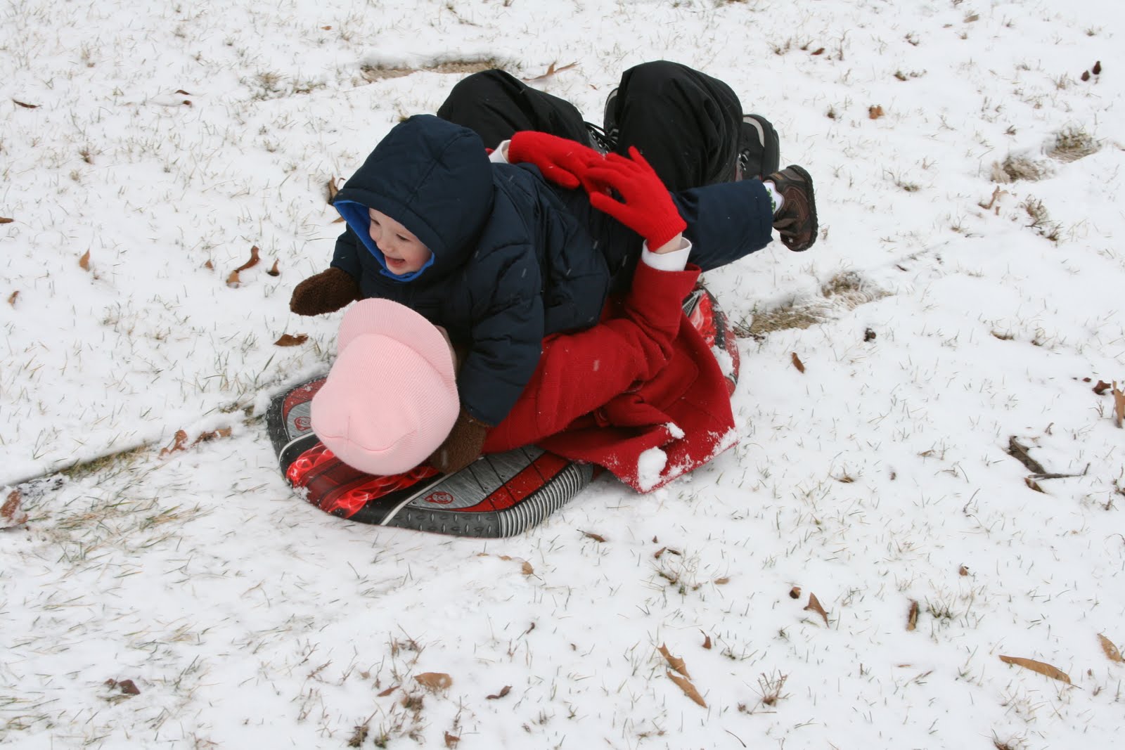 [IMG_1495.JPG]
