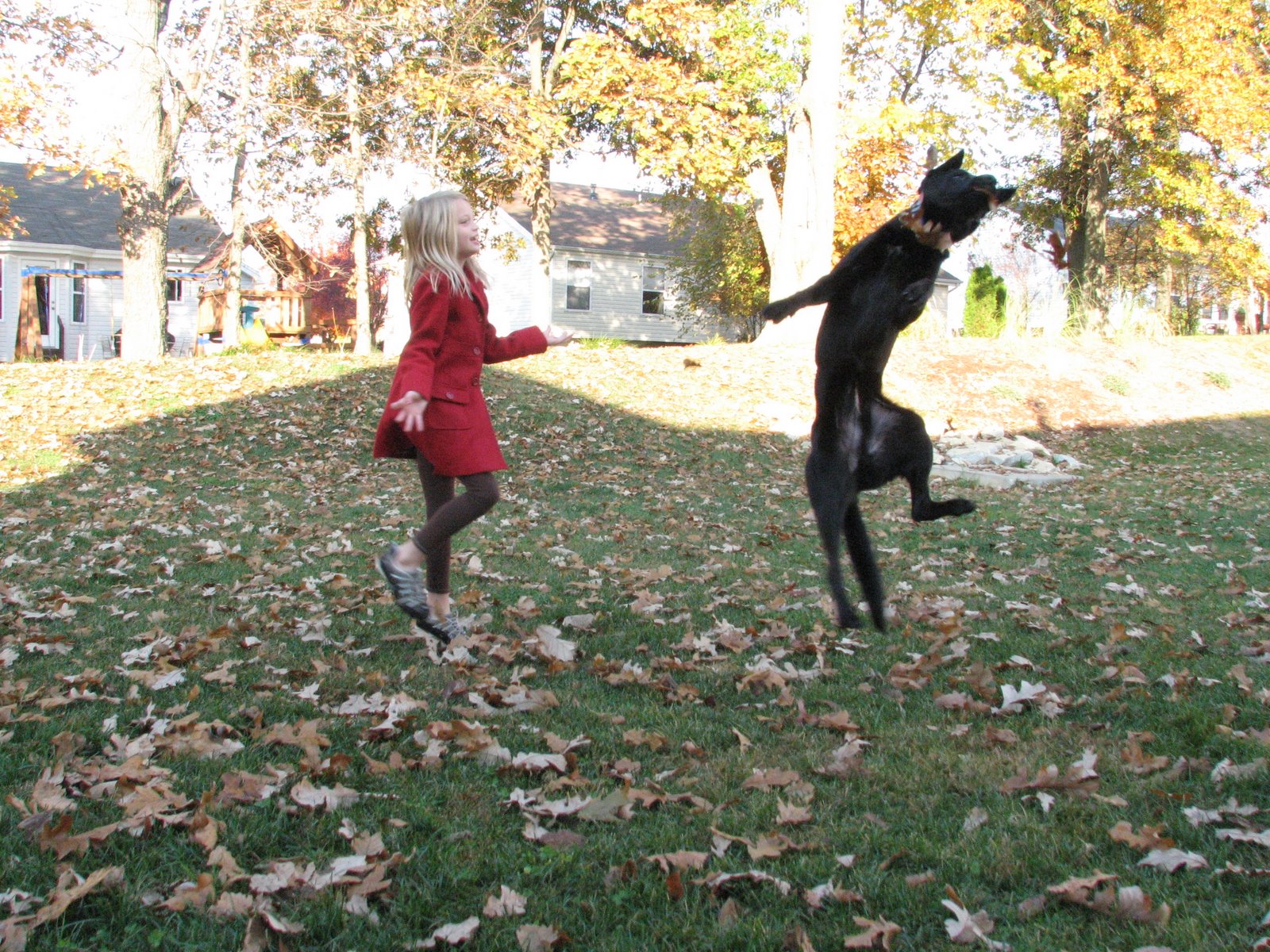 [Fall+2008+(21).jpg]