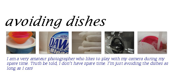 Avoiding Dishes!