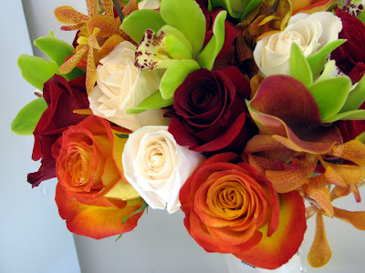 orange mokara orchids