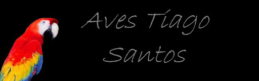 aves tiago santos