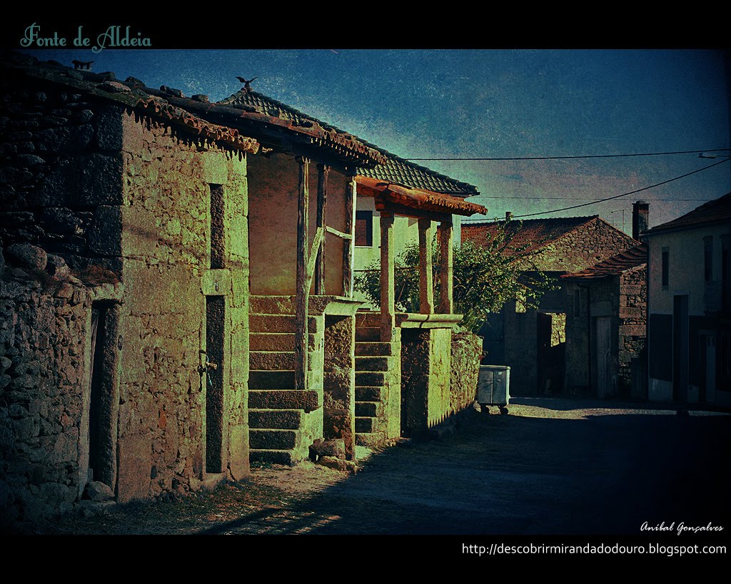 [fontedaldeia04.jpg]