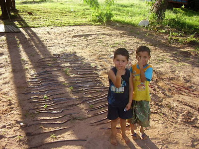 anaconda anaconda pictures eating