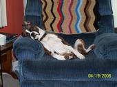 [dozer.jpg]