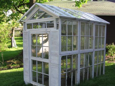[28+old+windows+into+greenhouse+PERFECT.jpg]