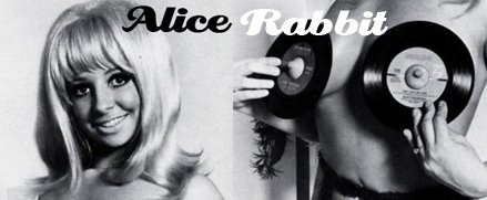 Alice Rabbit