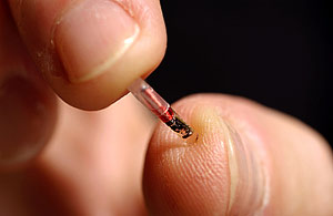 [chip0304.jpg]