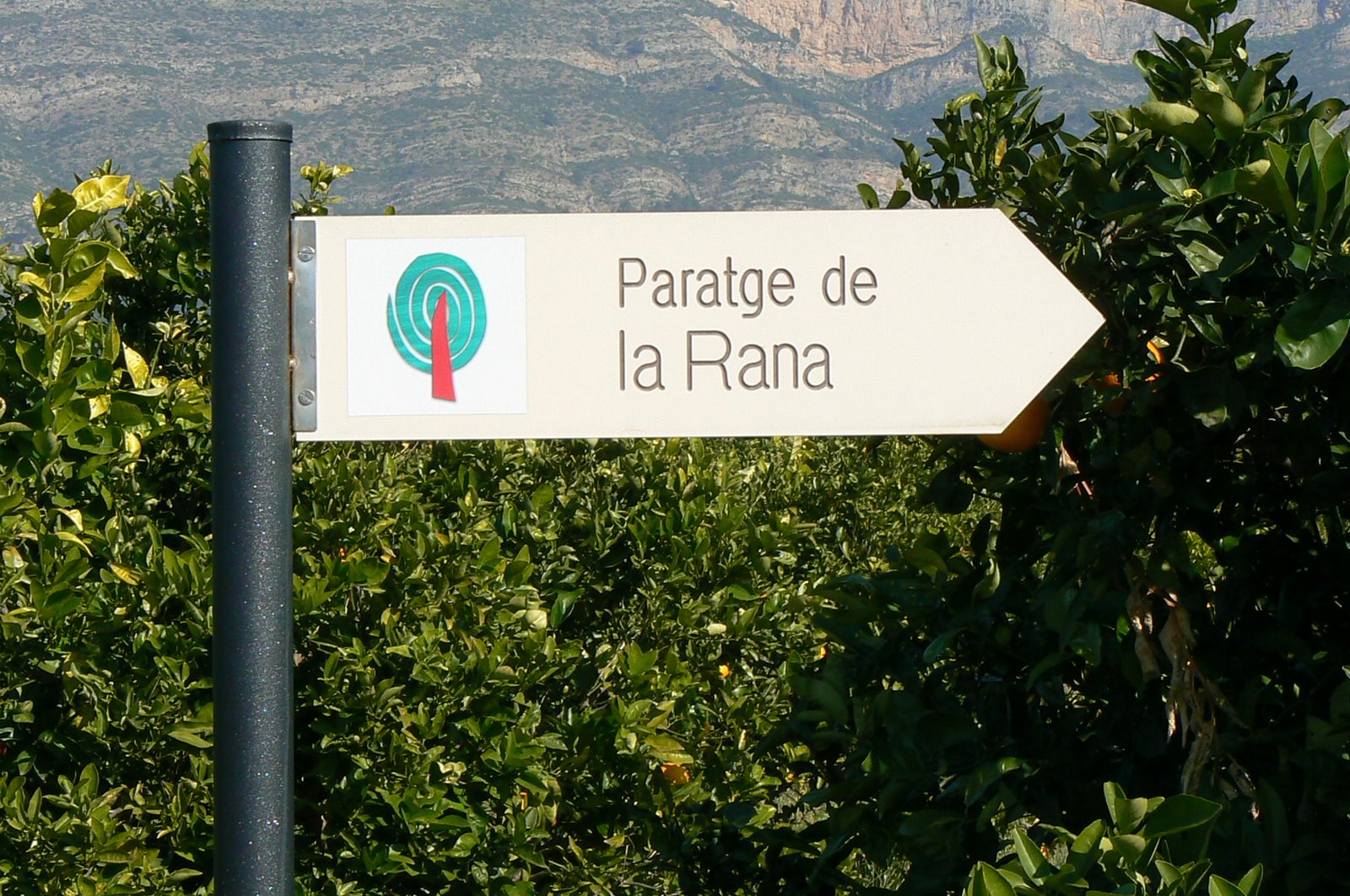 [P1040840.JPG]