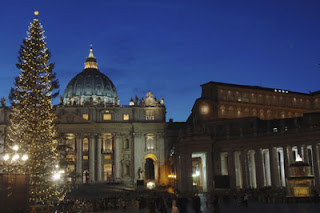 The Christmas tree in St Peter's Square stands