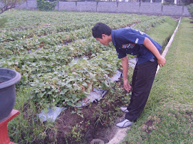 Agrobisnis SLAPUR