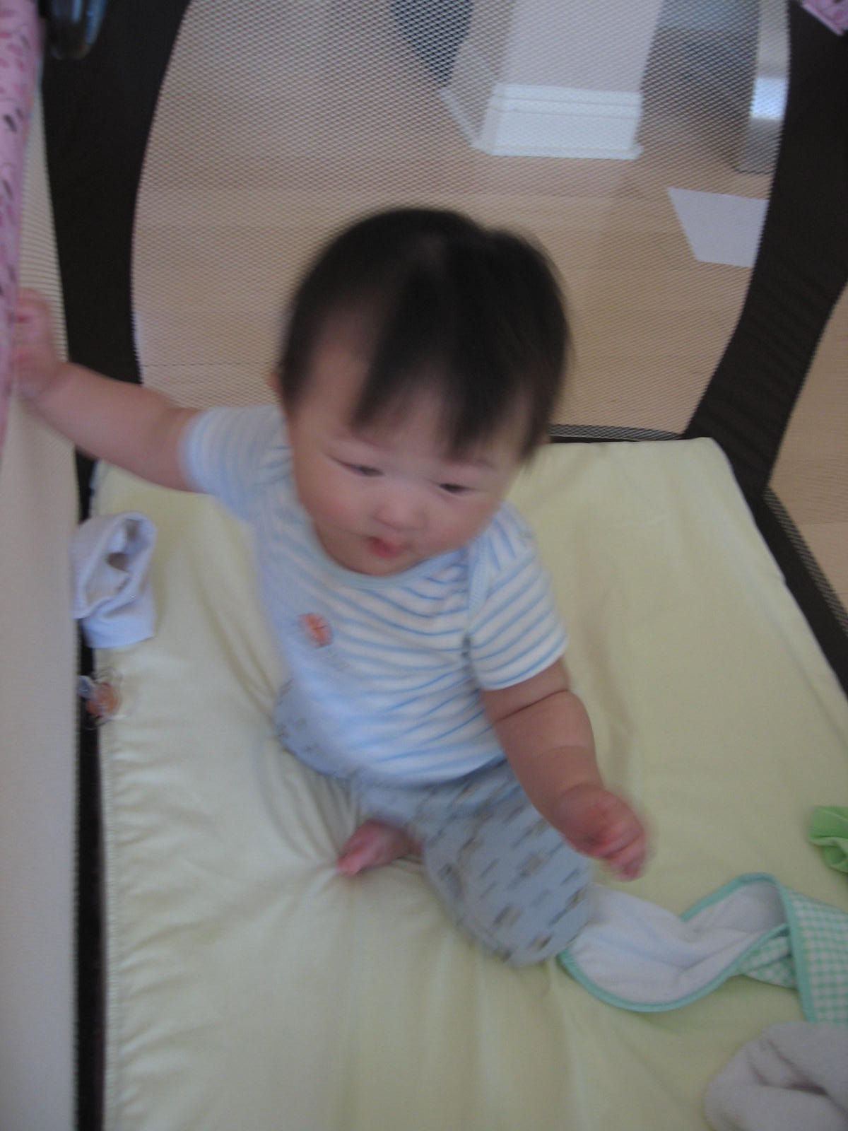 [IMG_3845.JPG]