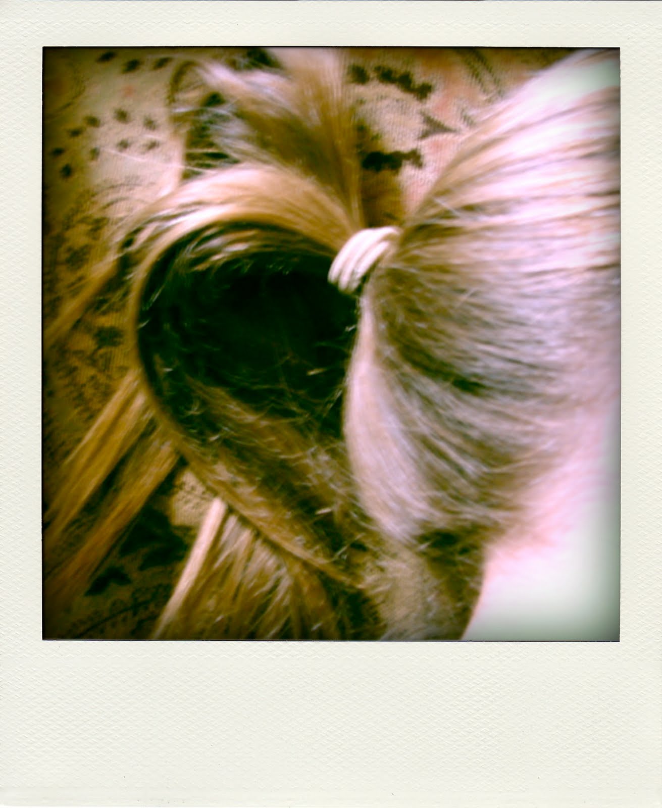 [DSC00103-pola.jpg]