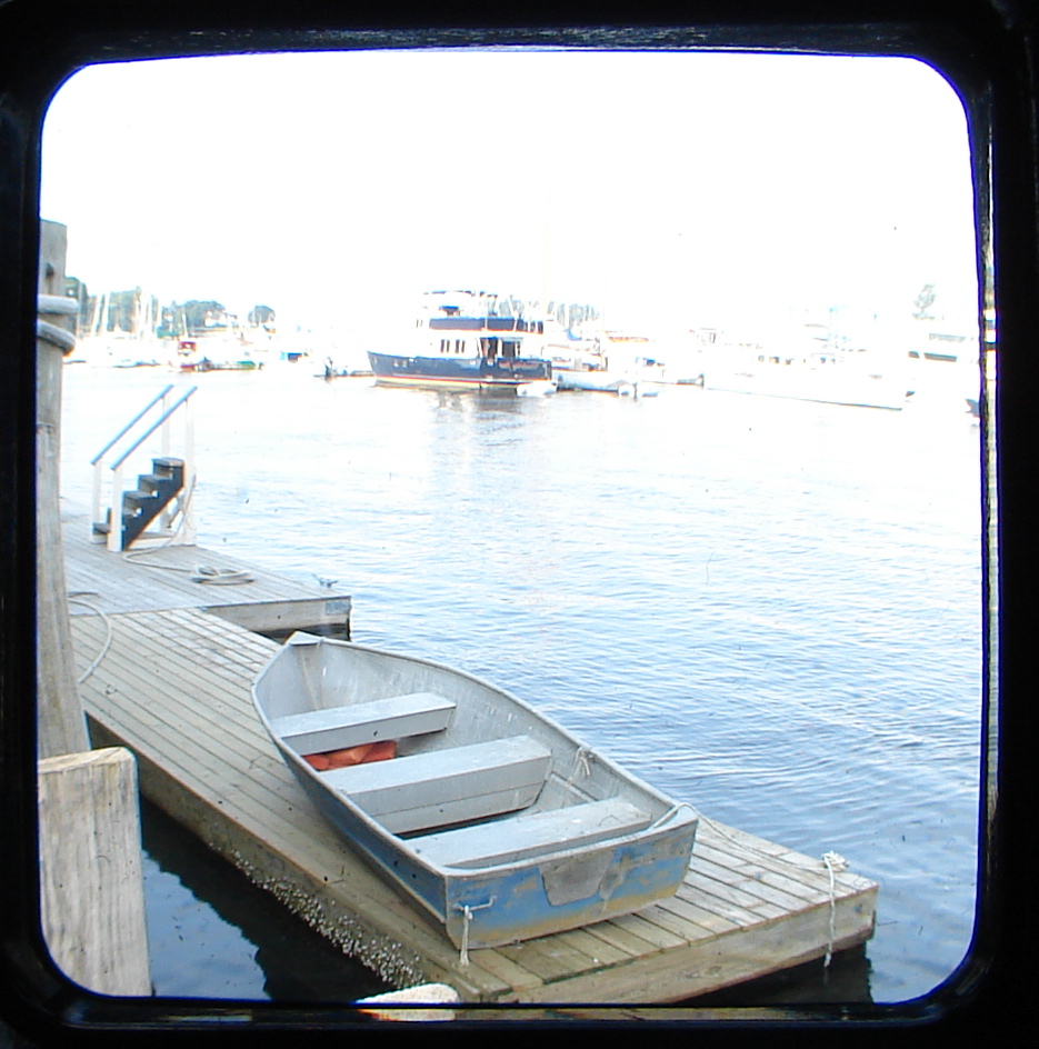 [DSC08164.JPG]