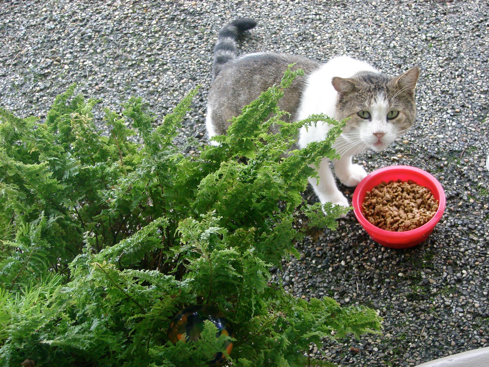 [DSC09695.JPG]