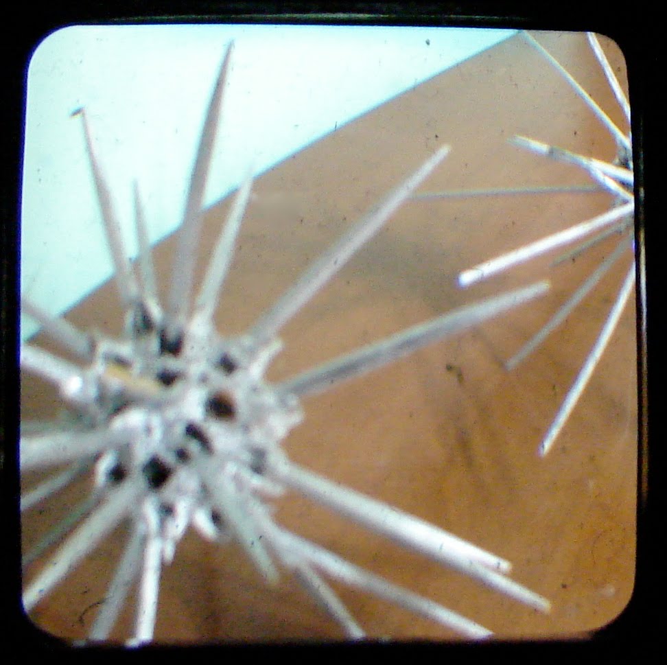 [DSC00074.JPG]