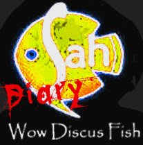 Wow Discus Diary